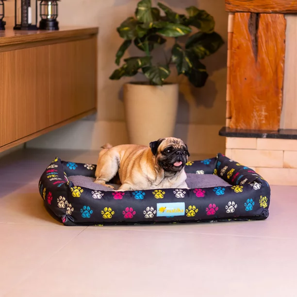 cama acolchoada para pets na cor preta com estampas de patinhas coloridas
